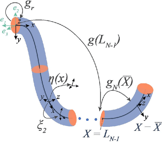 Figure 1 for Lagrangian Properties and Control of Soft Robots Modeled with Discrete Cosserat Rods