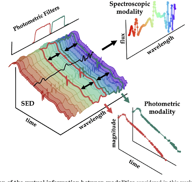 Figure 1 for Maven: A Multimodal Foundation Model for Supernova Science