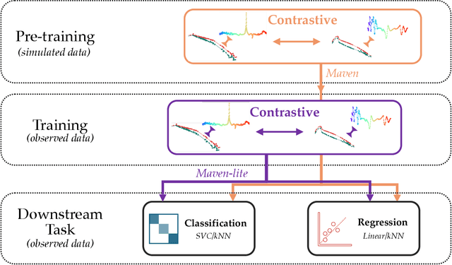 Figure 3 for Maven: A Multimodal Foundation Model for Supernova Science