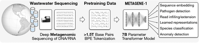 Figure 1 for METAGENE-1: Metagenomic Foundation Model for Pandemic Monitoring