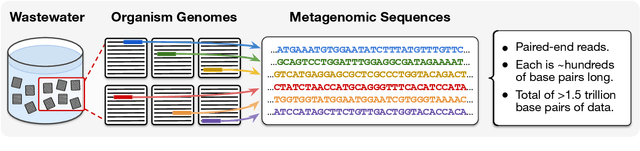 Figure 3 for METAGENE-1: Metagenomic Foundation Model for Pandemic Monitoring