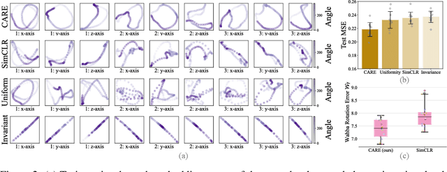 Figure 3 for Structuring Representation Geometry with Rotationally Equivariant Contrastive Learning