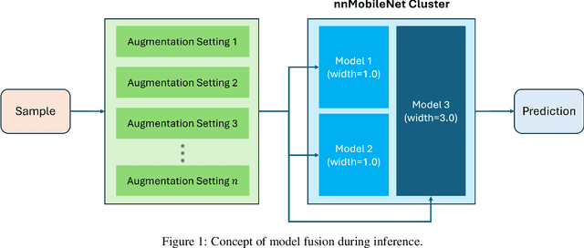 Figure 1 for Many-MobileNet: Multi-Model Augmentation for Robust Retinal Disease Classification