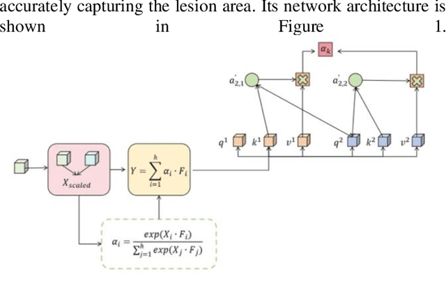 Figure 1 for Multi-Scale Transformer Architecture for Accurate Medical Image Classification