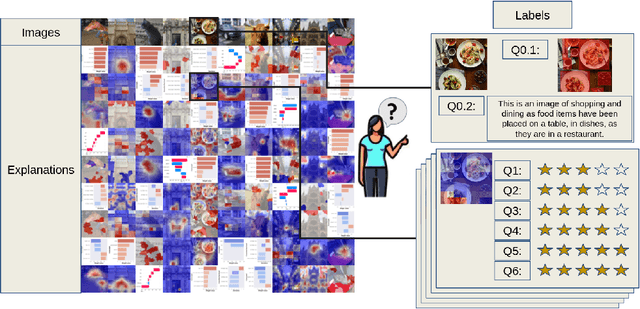 Figure 1 for Benchmarking XAI Explanations with Human-Aligned Evaluations