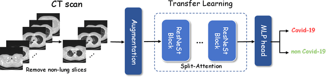 Figure 3 for Advancing COVID-19 Detection in 3D CT Scans