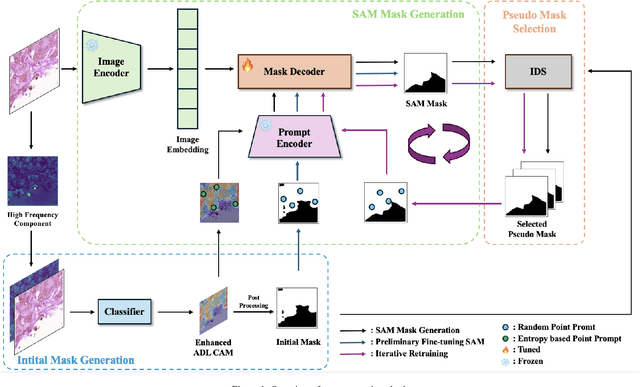 Figure 1 for EP-SAM: Weakly Supervised Histopathology Segmentation via Enhanced Prompt with Segment Anything