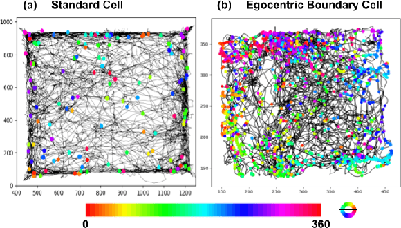 Figure 4 for BU-CVKit: Extendable Computer Vision Framework for Species Independent Tracking and Analysis