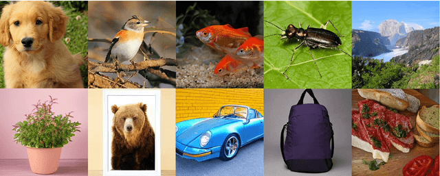 Figure 1 for AR-GRPO: Training Autoregressive Image Generation Models via Reinforcement Learning