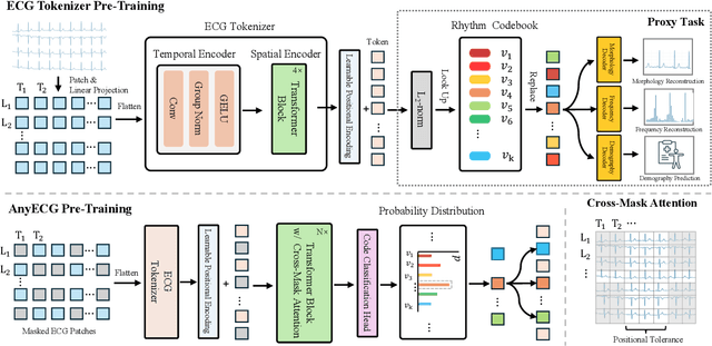 Figure 1 for AnyECG: Foundational Models for Electrocardiogram Analysis