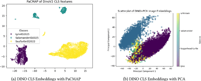 Figure 2 for DS@GT AnimalCLEF: Triplet Learning over ViT Manifolds with Nearest Neighbor Classification for Animal Re-identification