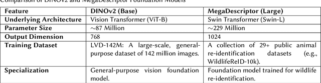 Figure 3 for DS@GT AnimalCLEF: Triplet Learning over ViT Manifolds with Nearest Neighbor Classification for Animal Re-identification