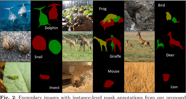 Figure 3 for Few-shot Camouflaged Animal Detection and Segmentation