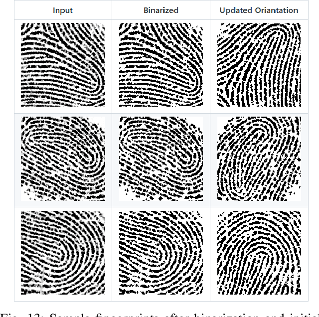 Figure 4 for Unbalanced Fingerprint Classification for Hybrid Fingerprint Orientation Maps