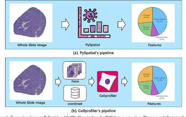 Figure 1 for PySpatial: A High-Speed Whole Slide Image Pathomics Toolkit