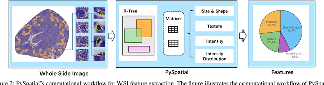 Figure 2 for PySpatial: A High-Speed Whole Slide Image Pathomics Toolkit