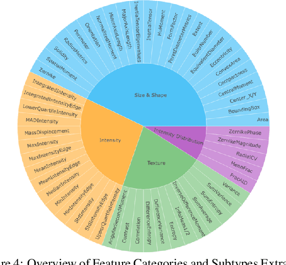 Figure 4 for PySpatial: A High-Speed Whole Slide Image Pathomics Toolkit