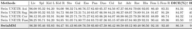 Figure 4 for SwinMM: Masked Multi-view with Swin Transformers for 3D Medical Image Segmentation