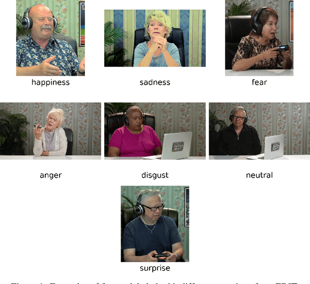 Figure 1 for ERIT Lightweight Multimodal Dataset for Elderly Emotion Recognition and Multimodal Fusion Evaluation