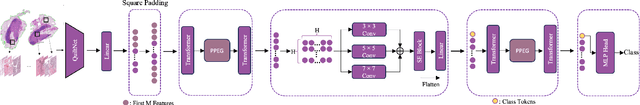 Figure 3 for PathFinder: A Multi-Modal Multi-Agent System for Medical Diagnostic Decision-Making Applied to Histopathology