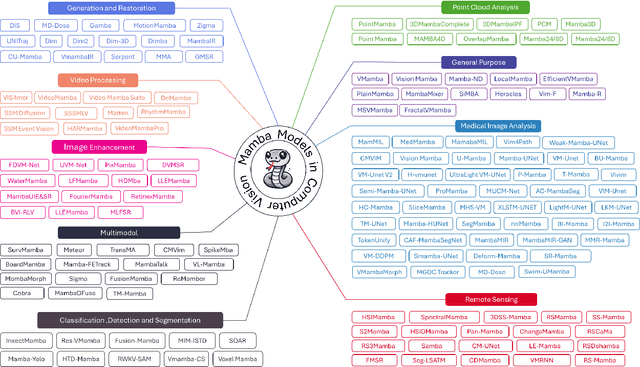 Figure 3 for Mamba in Vision: A Comprehensive Survey of Techniques and Applications