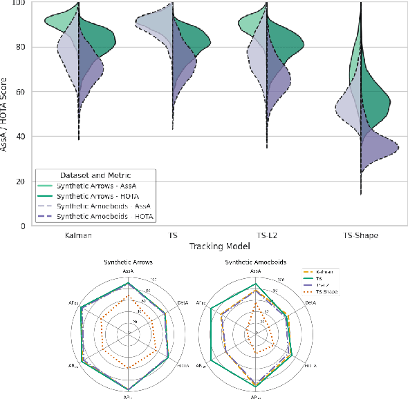 Figure 3 for Post-Hoc MOTS: Exploring the Capabilities of Time-Symmetric Multi-Object Tracking