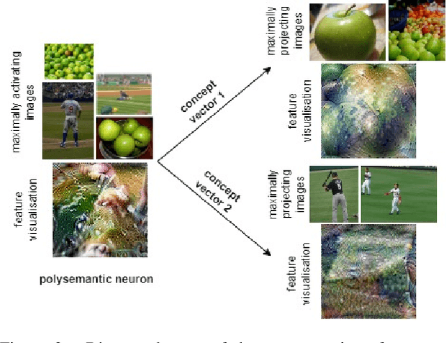 Figure 3 for Disentangling Neuron Representations with Concept Vectors