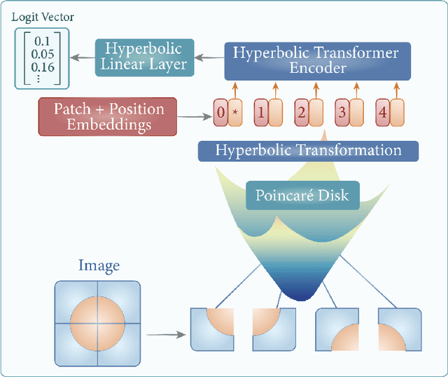 Figure 2 for HVT: A Comprehensive Vision Framework for Learning in Non-Euclidean Space