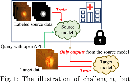 Figure 1 for Black-box Source-free Domain Adaptation via Two-stage Knowledge Distillation