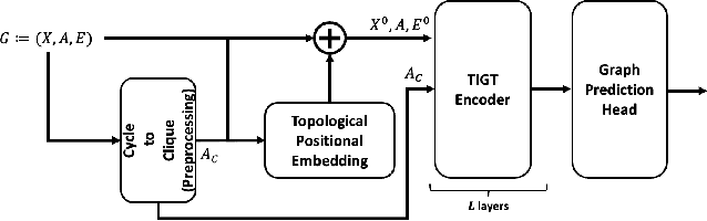 Figure 1 for Topology-Informed Graph Transformer
