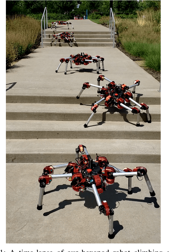 Figure 1 for Learning Modular Robot Visual-motor Locomotion Policies
