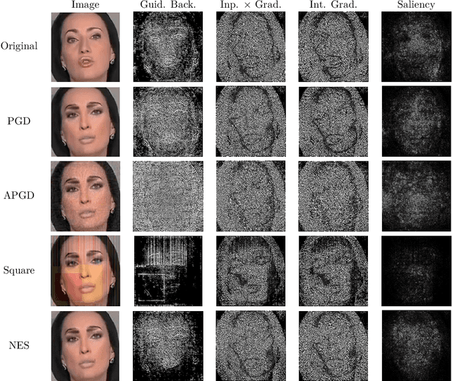 Figure 3 for XAI-Based Detection of Adversarial Attacks on Deepfake Detectors