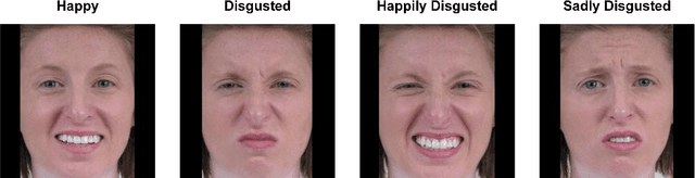 Figure 1 for Complex Facial Expression Recognition Using Deep Knowledge Distillation of Basic Features