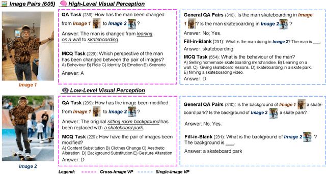 Figure 1 for MVP-Bench: Can Large Vision--Language Models Conduct Multi-level Visual Perception Like Humans?