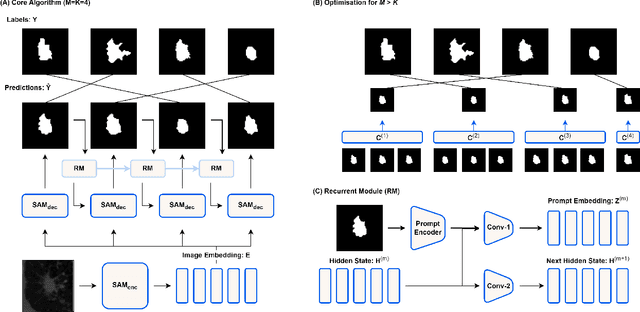 Figure 1 for SeqSAM: Autoregressive Multiple Hypothesis Prediction for Medical Image Segmentation using SAM