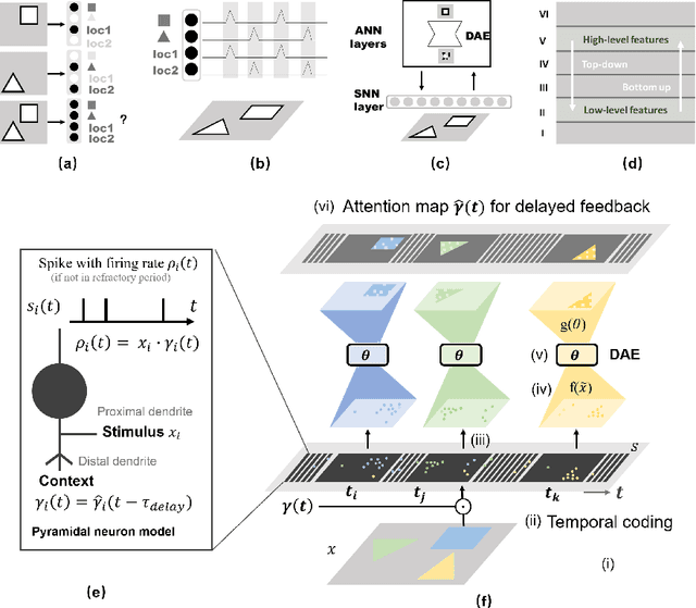 Figure 1 for Dance of SNN and ANN: Solving binding problem by combining spike timing and reconstructive attention