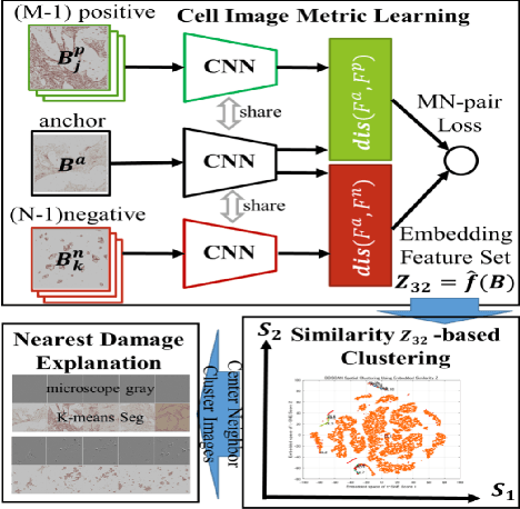 Figure 3 for Cell Culture Assistive Application for Precipitation Image Diagnosis