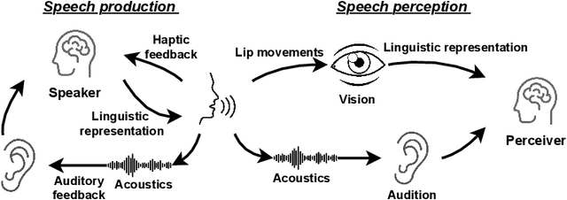 Figure 1 for Separate in the Speech Chain: Cross-Modal Conditional Audio-Visual Target Speech Extraction