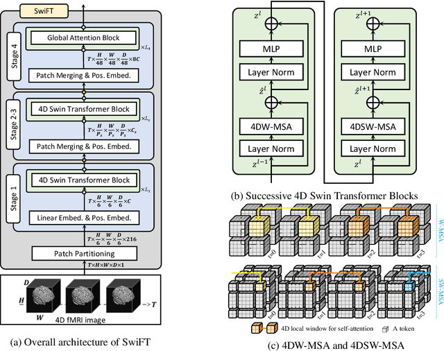 Figure 1 for SwiFT: Swin 4D fMRI Transformer