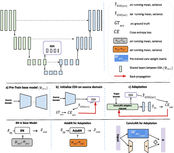 Figure 1 for ConvLoRA and AdaBN based Domain Adaptation via Self-Training