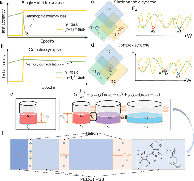 Figure 1 for Emulating Complex Synapses Using Interlinked Proton Conductors