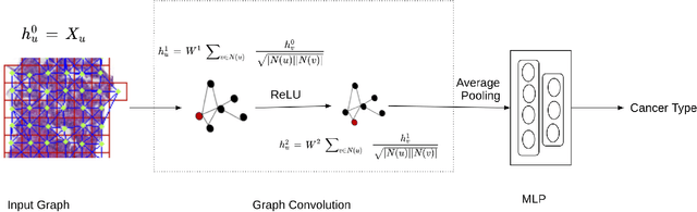Figure 4 for Context-Aware Self-Supervised Learning of Whole Slide Images