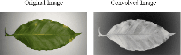 Figure 2 for Early Detection of Coffee Leaf Rust Through Convolutional Neural Networks Trained on Low-Resolution Images