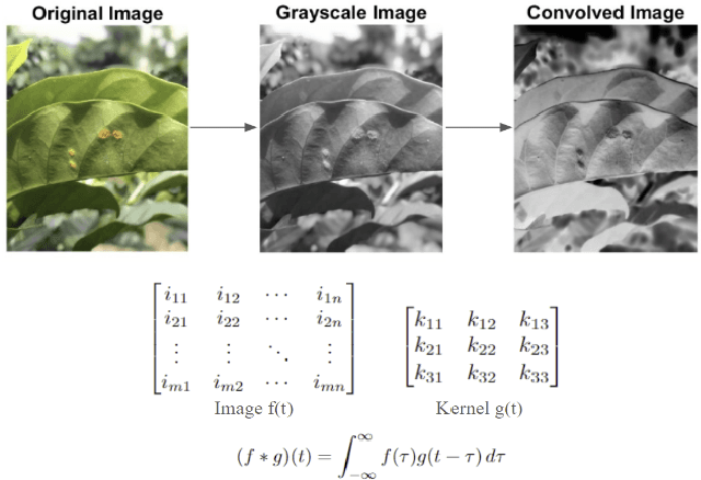 Figure 4 for Early Detection of Coffee Leaf Rust Through Convolutional Neural Networks Trained on Low-Resolution Images