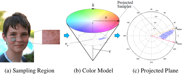 Figure 1 for Comparison of Methods in Human Skin Decomposition