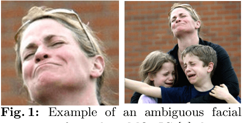 Figure 1 for VLLMs Provide Better Context for Emotion Understanding Through Common Sense Reasoning