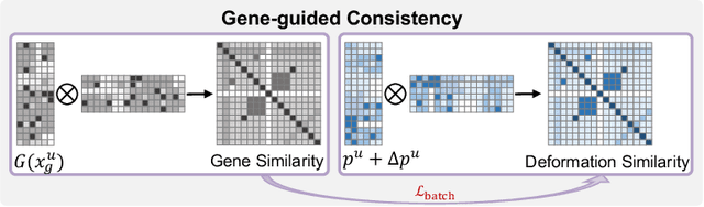 Figure 3 for Knowledge-driven Subspace Fusion and Gradient Coordination for Multi-modal Learning