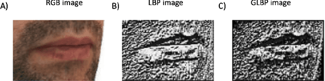 Figure 4 for OXSeg: Multidimensional attention UNet-based lip segmentation using semi-supervised lip contours