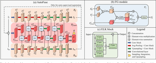 Figure 3 for AutoFuse: Automatic Fusion Networks for Deformable Medical Image Registration