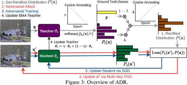 Figure 4 for Annealing Self-Distillation Rectification Improves Adversarial Training